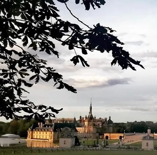 Cocoon Retreat Chantilly